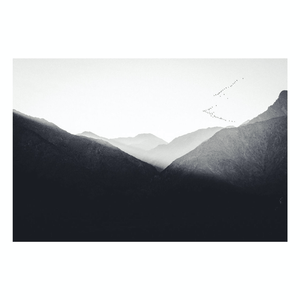 Fine Art Prints - "Borrego Flight" | Black And White Mountains Photograph