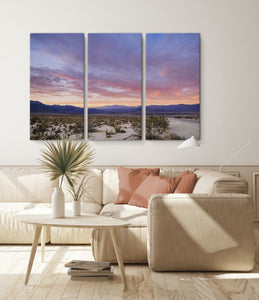 Fine Art Prints - "Borrego Springs State Park" Triptych | Desert Wall Art Set