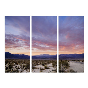 Fine Art Prints - "Borrego Springs State Park" Triptych | Desert Wall Art Set