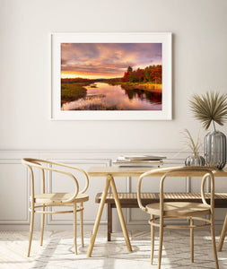 Fine Art Prints - "Brilliance" | Nature Photography Print