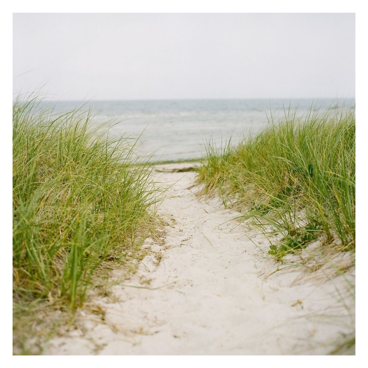 Fine Art Prints - "Cape Cod Beach" | Coastal Photography Print