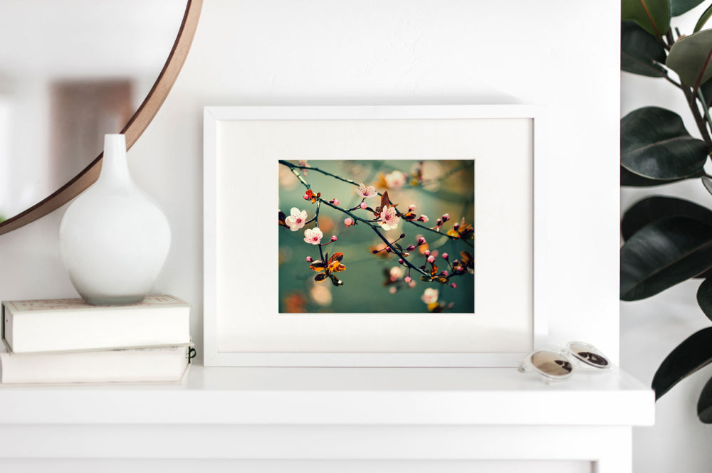 Fine Art Prints - "Cherry Blossoms" | Nature Landscape Photography