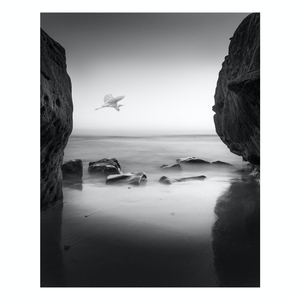Fine Art Prints - "Crane" | Black And White Ocean Photograph