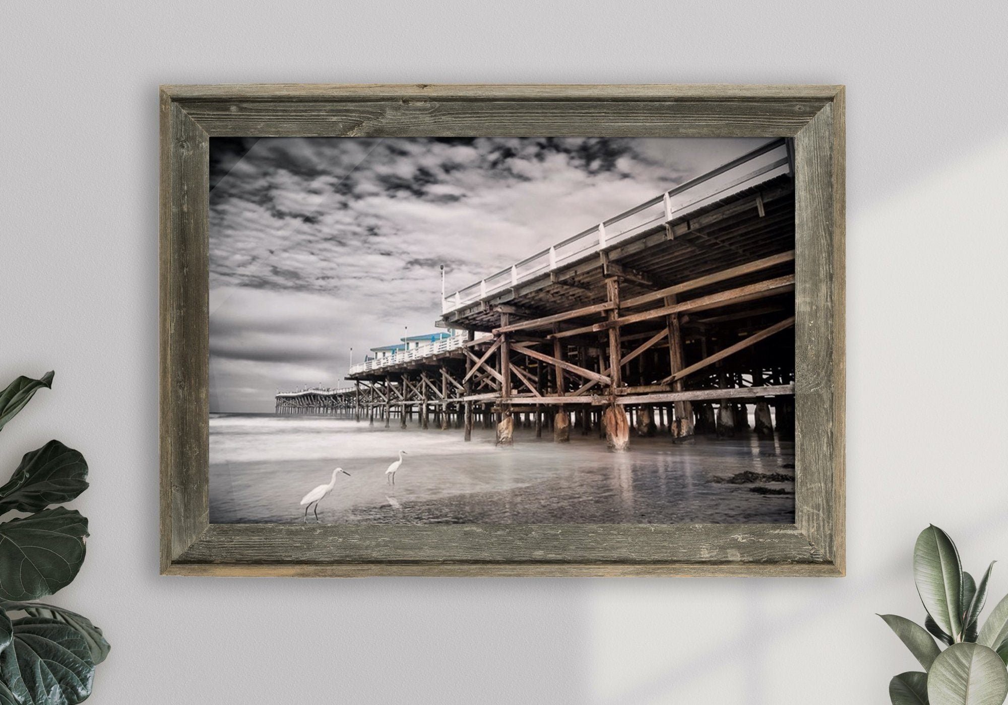 Fine Art Prints - "Crystal Pier Snowy Egrets" | Ocean Photography Prints