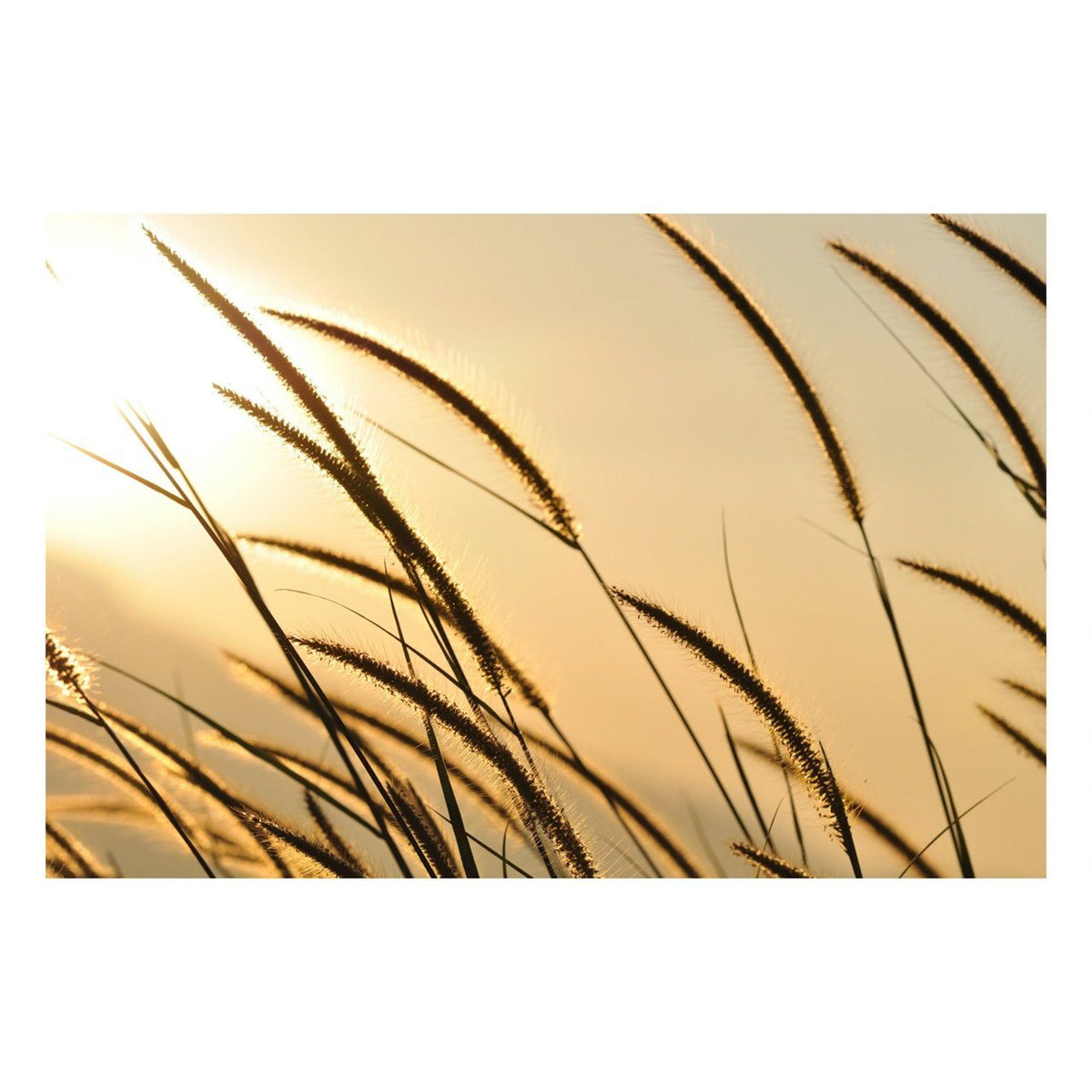 Fine Art Prints - "Dawn's Light" | MK Holiday Sale 2020
