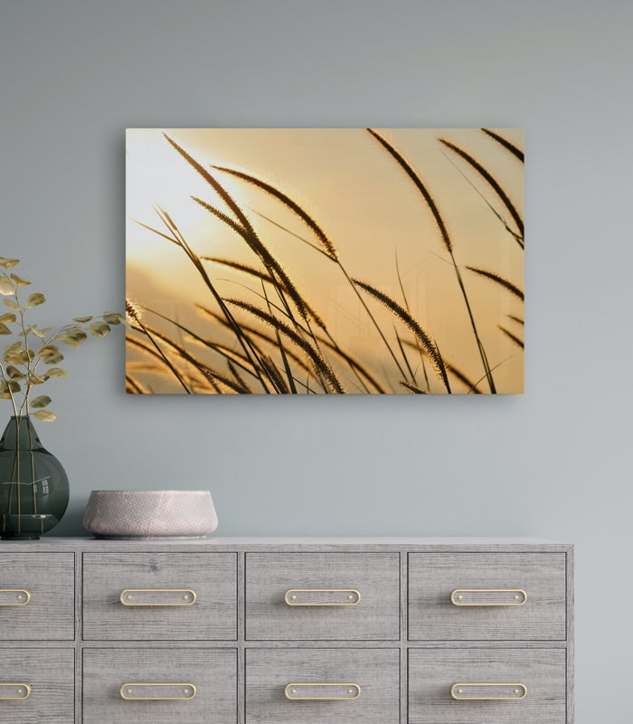 Fine Art Prints - "Dawn's Light" | Nature Photography Print