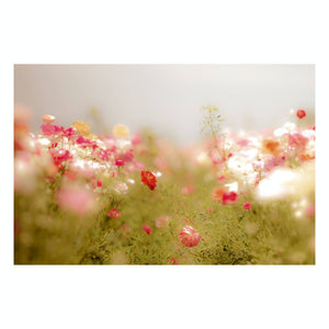 Fine Art Prints - "Delicate Florals" | Nature Photography Prints