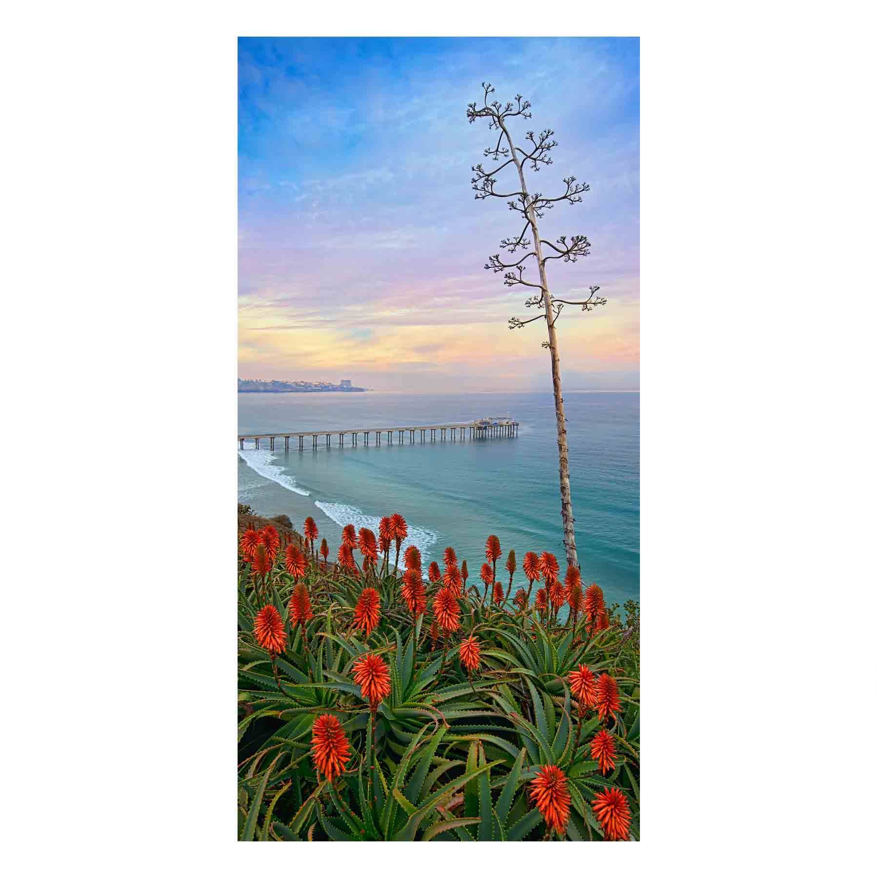 Fine Art Prints - "Eden's View" | Coastal Landscape Photography