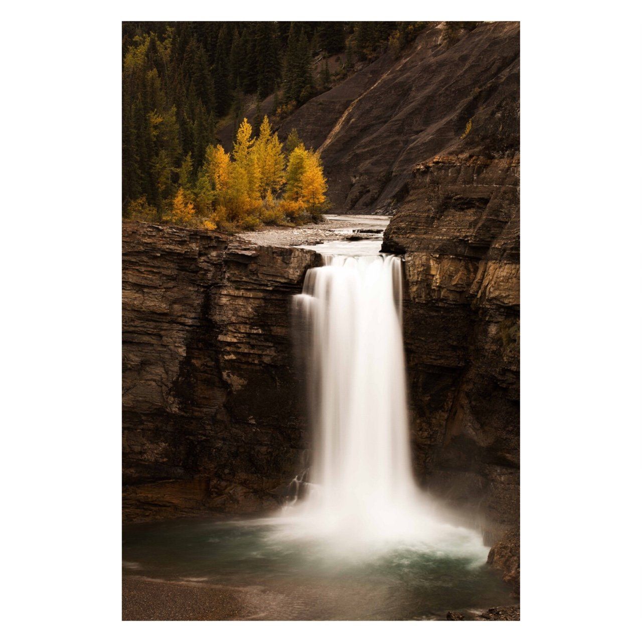 Fine Art Prints - "Fall(ing)" | Nature Photography Prints