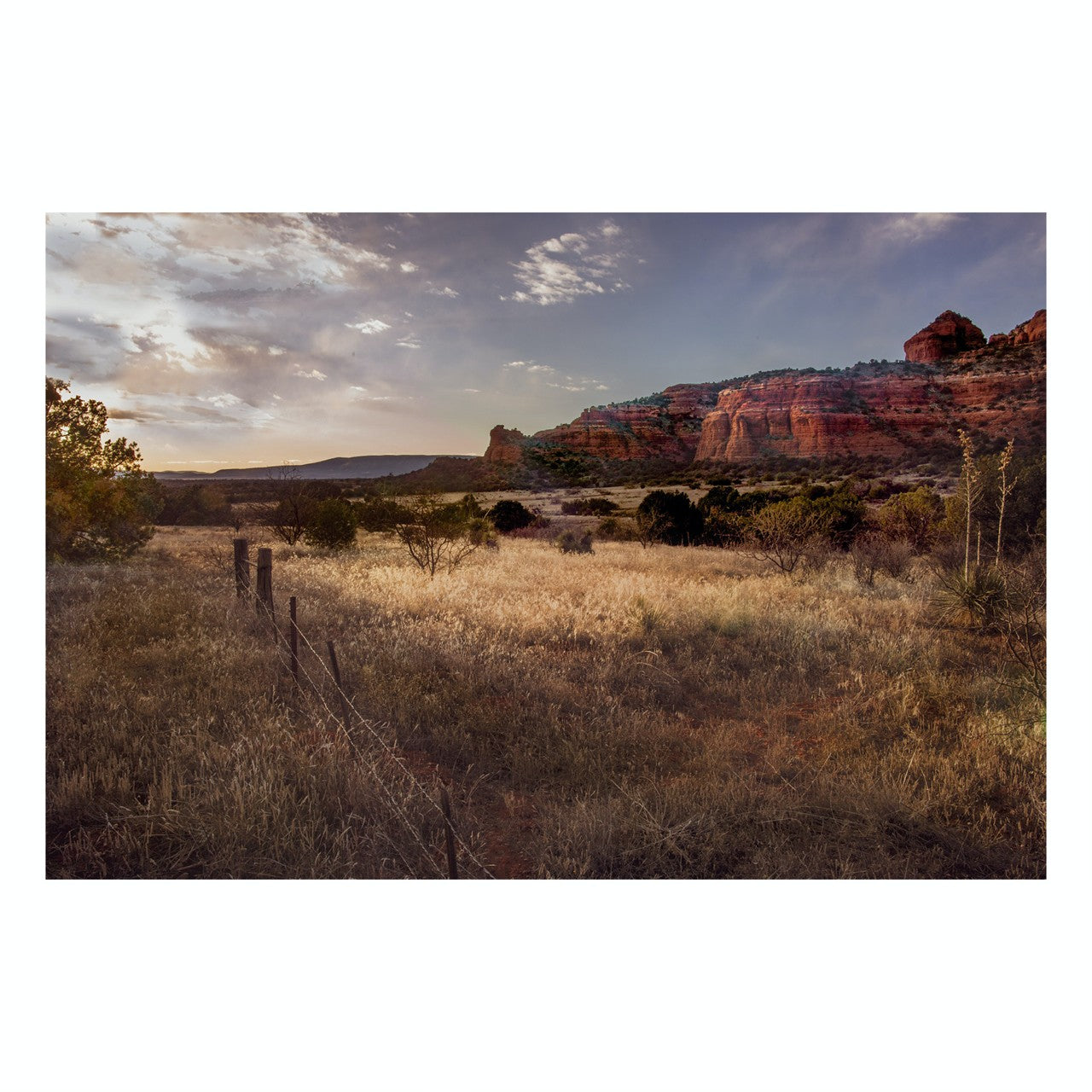 Fine Art Prints - "Field Of Light In Sedona" | Nature Photography Prints