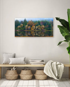 Fine Art Prints - "Forest Reflections" | Nature Landscape Photography