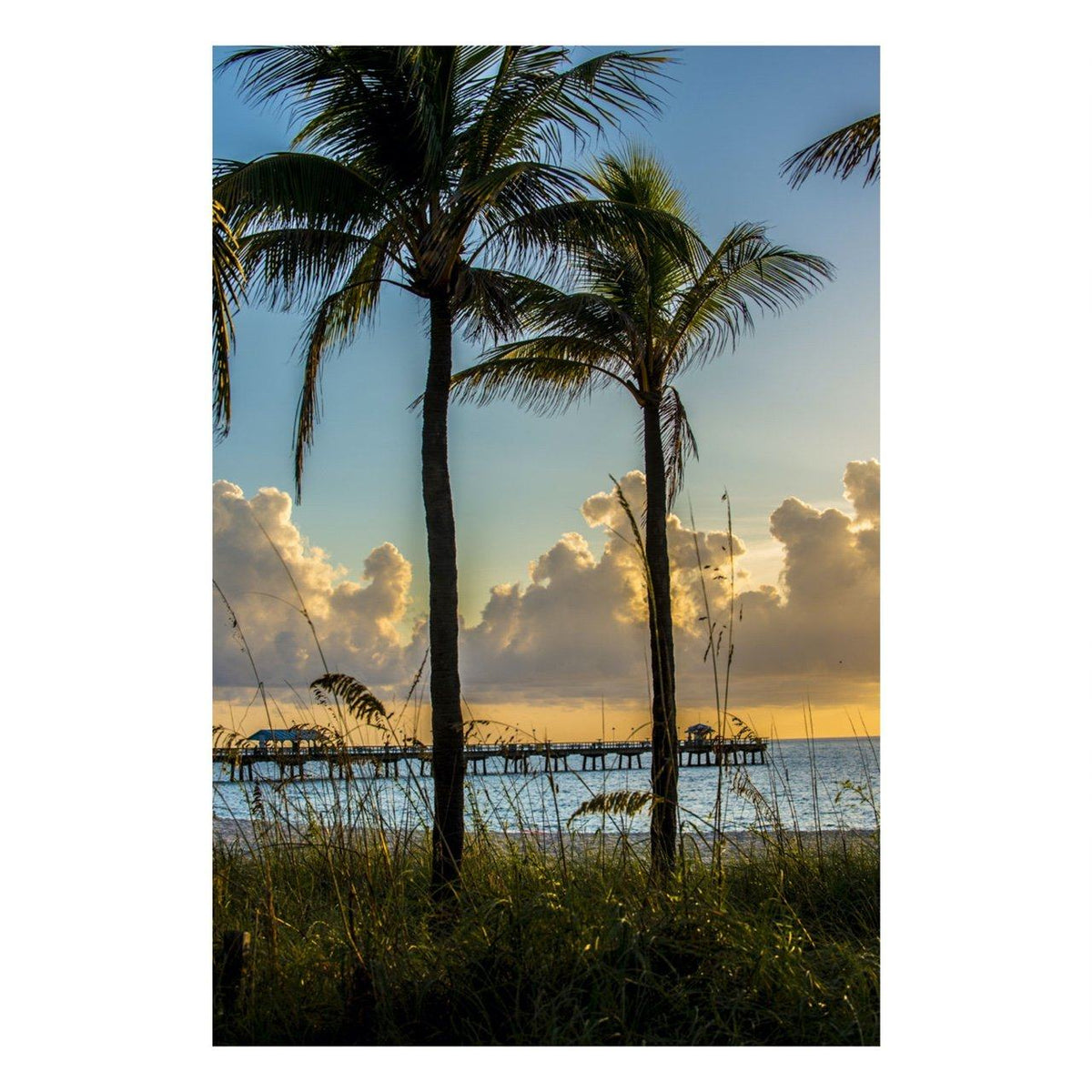 Fine Art Prints - "Glimpse" | MK Holiday Sale 2020