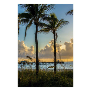 Fine Art Prints - "Glimpse" | MK Holiday Sale 2020
