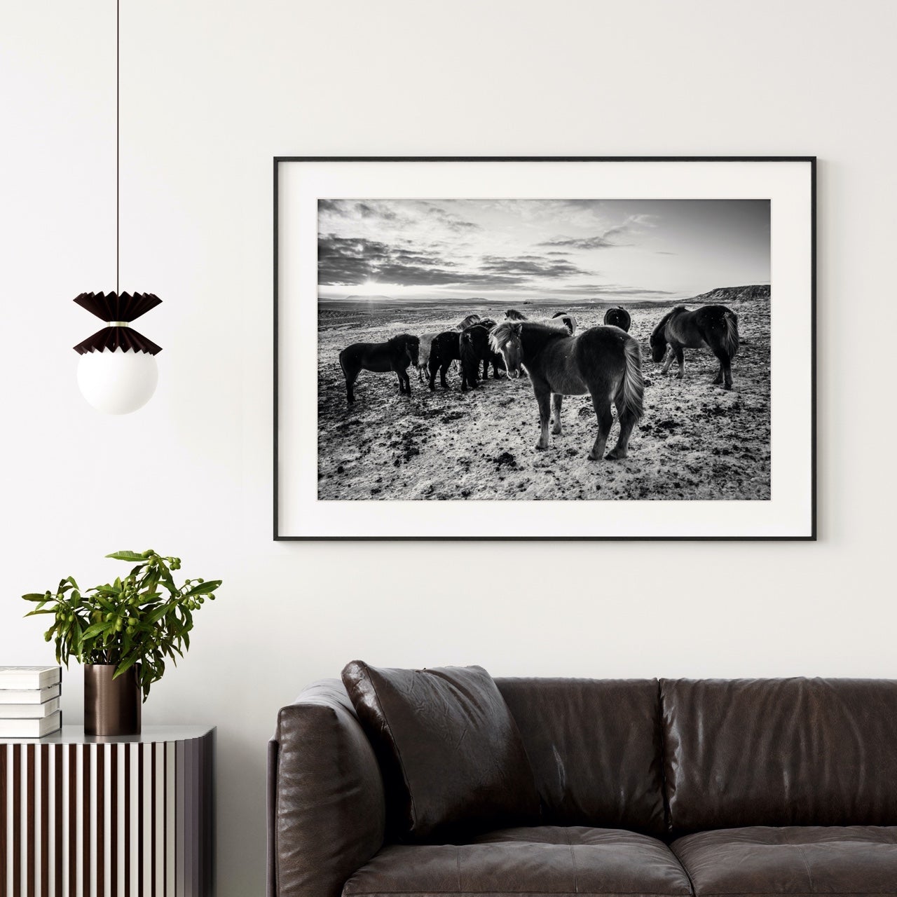 Fine Art Prints - "Icelandic Nomads" | Black & White Horse Photography