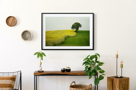 Fine Art Prints - "Ireland Tree" | Travel Photography Print
