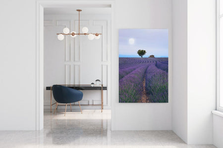 Fine Art Prints - "Lavender Eve" | Nature Landscape Photography
