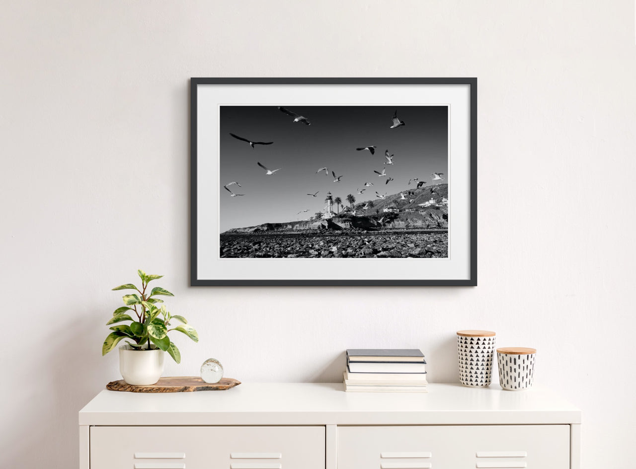 Fine Art Prints - "Lighthouse Birds" | Coastal Photography Print