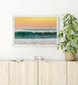 Fine Art Prints - "Locals Only" | Ocean Photo Art