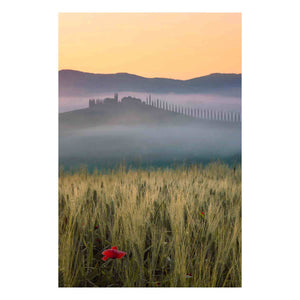 Fine Art Prints - "Misty Morning Tuscany" | Travel Landscape Photography