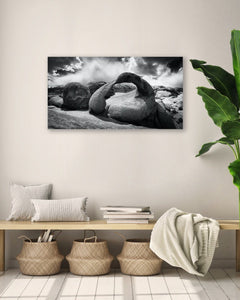 Fine Art Prints - "Mobius" | Nature Landscape Photography