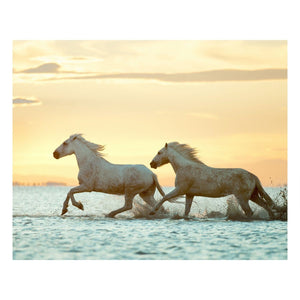 Fine Art Prints - "Morning Run" | MK Holiday Sale 2020