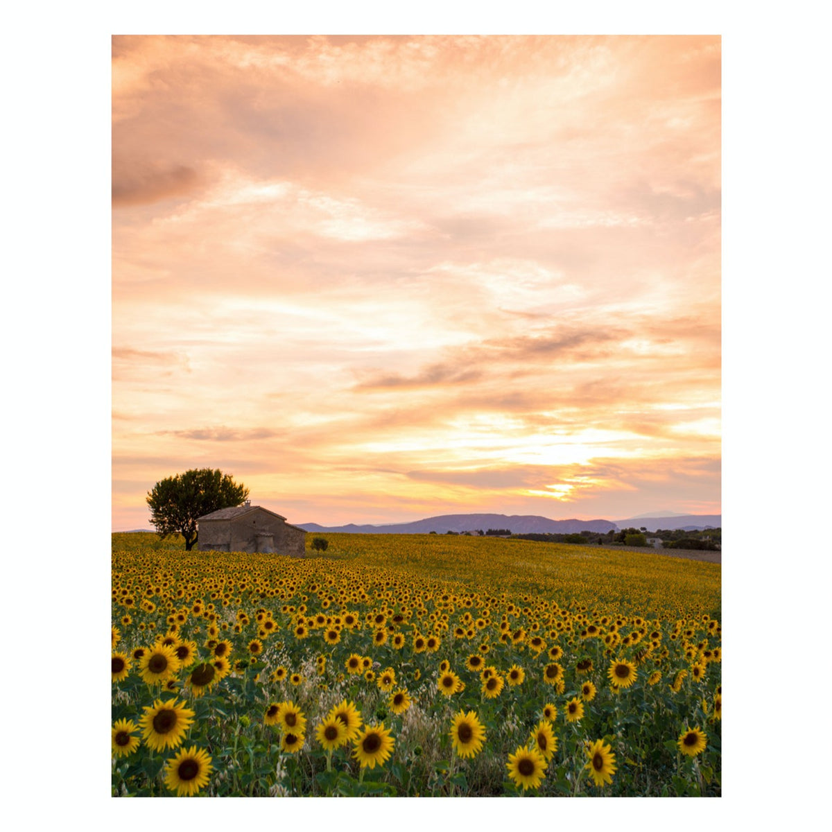 Fine Art Prints - "Plateau Du Soleil" | Nature Landscape Photography