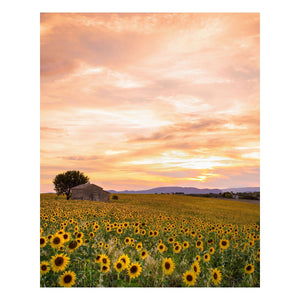 Fine Art Prints - "Plateau Du Soleil" | Nature Landscape Photography