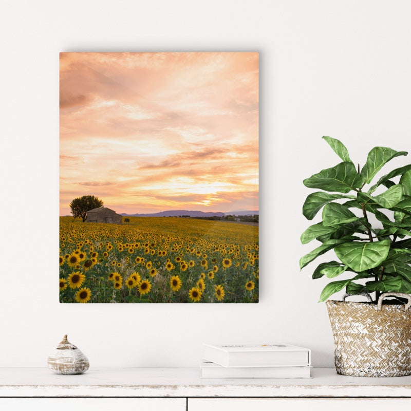 Fine Art Prints - "Plateau Du Soleil" | Nature Photography Print