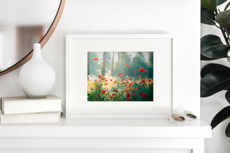 Fine Art Prints - "Pop Of Red" | Nature Landscape Photography