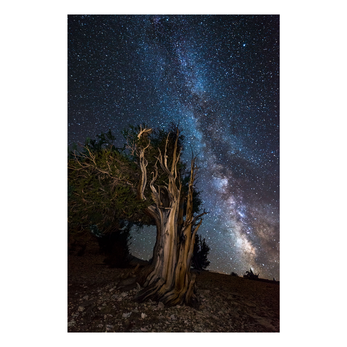 Fine Art Prints - "Praise The Heavens" | Nature Landscape Photography