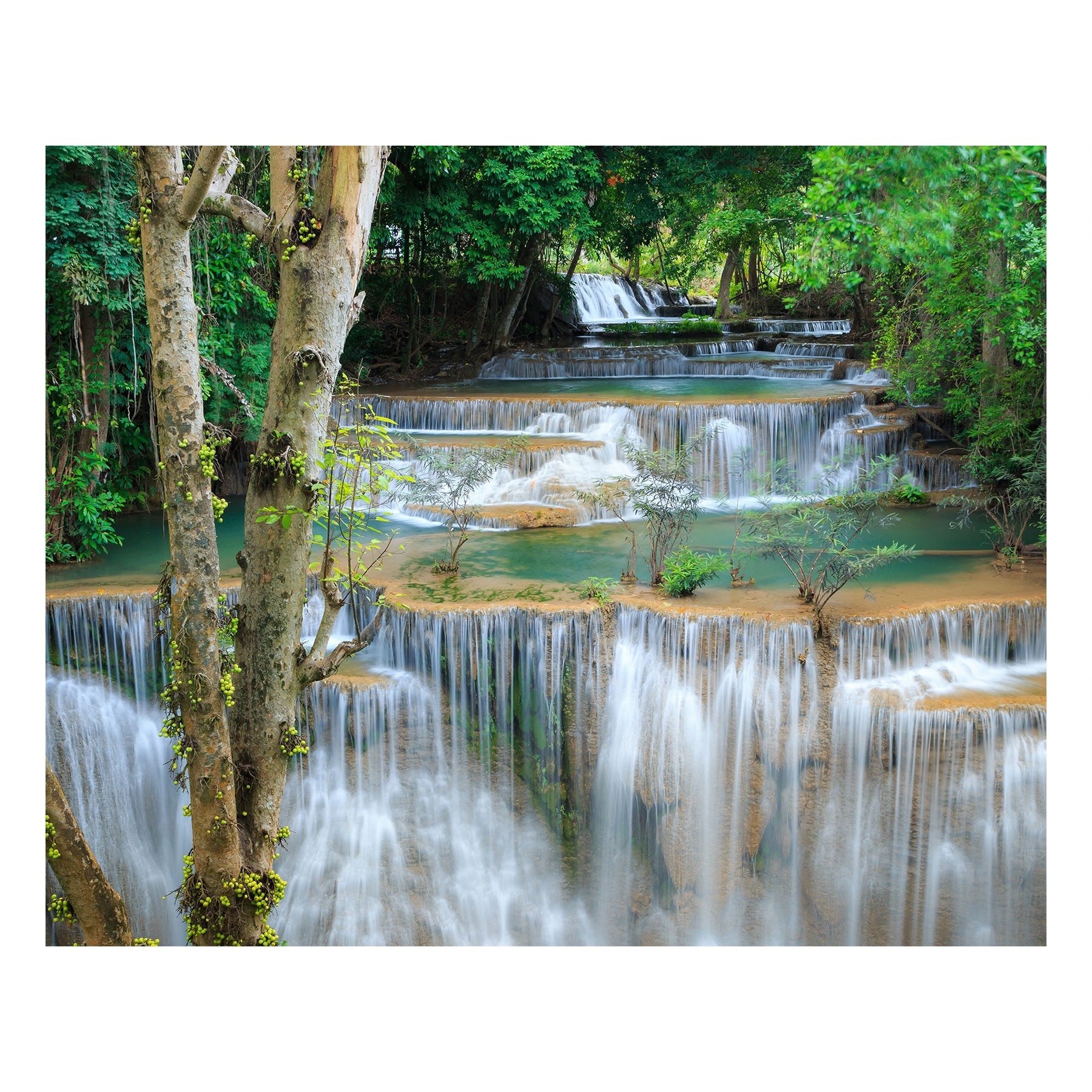 Fine Art Prints - "Rainforest Falls" | Nature Landscape Photography