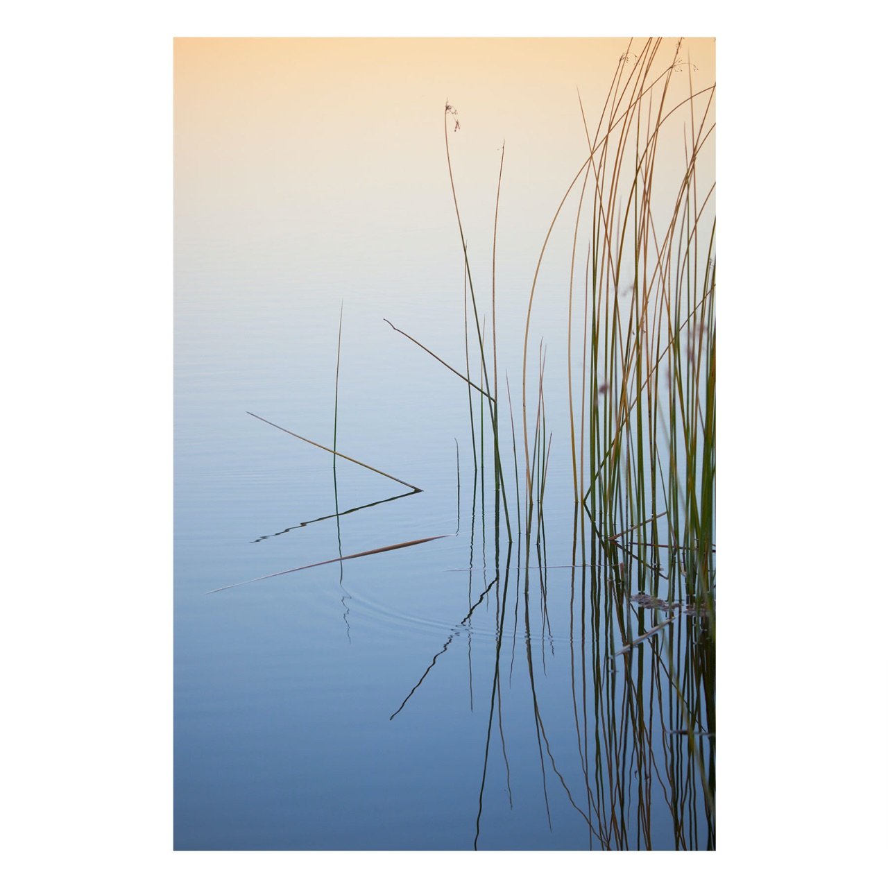 Fine Art Prints - "River Calm" | Coastal Photography Prints