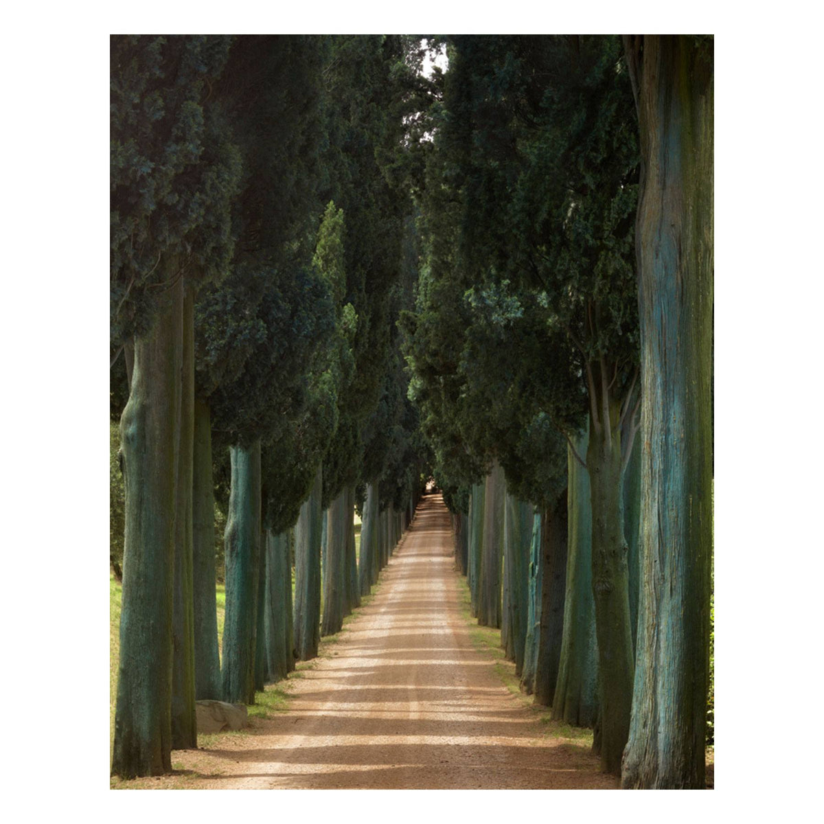 Fine Art Prints - "Road To Brunello" | Nature Landscape Photography