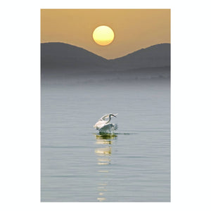Fine Art Prints - "Sea Of Galilee" | Nature Landscape Photography