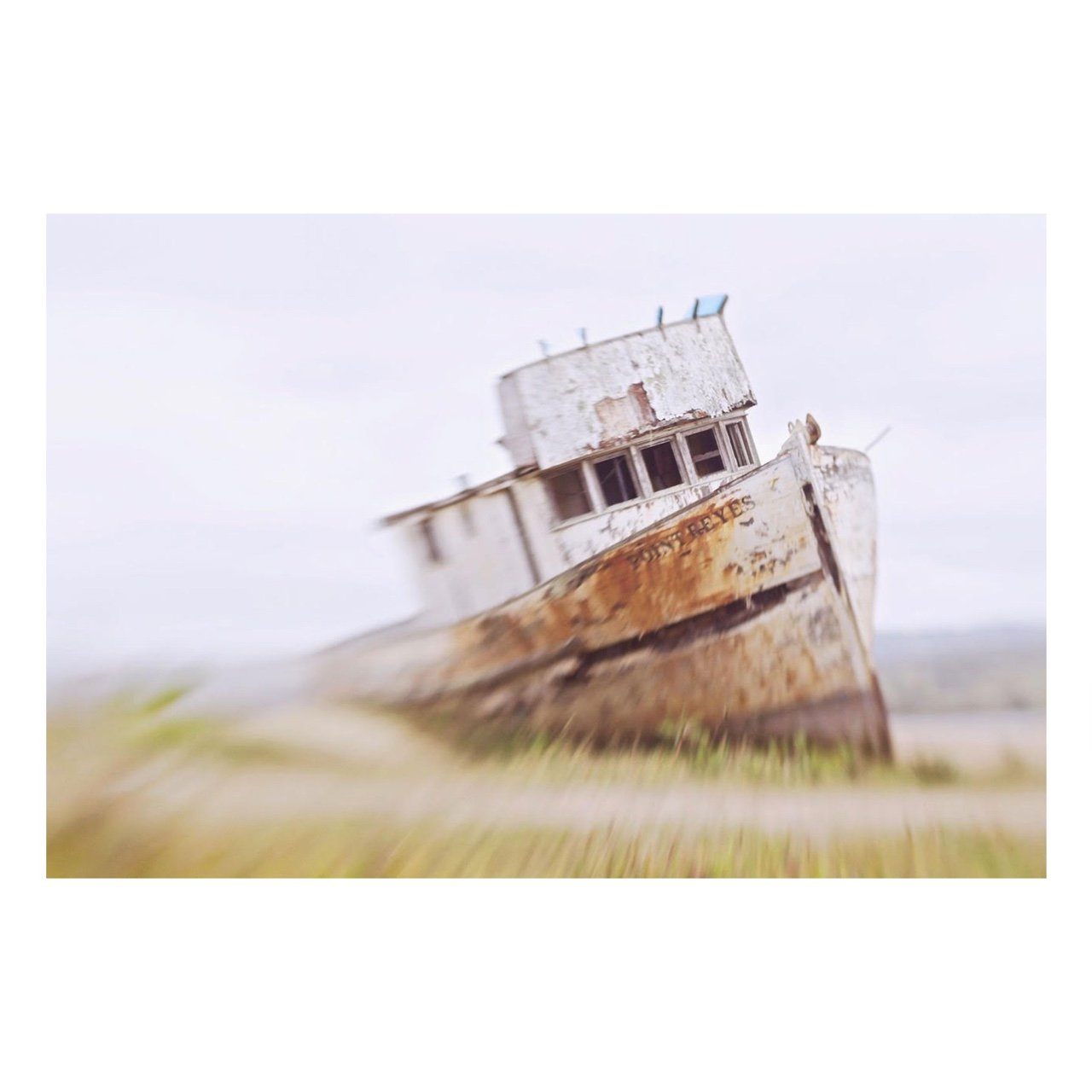 Fine Art Prints - "ShipWrecked" | Beachradish Farewell Sale
