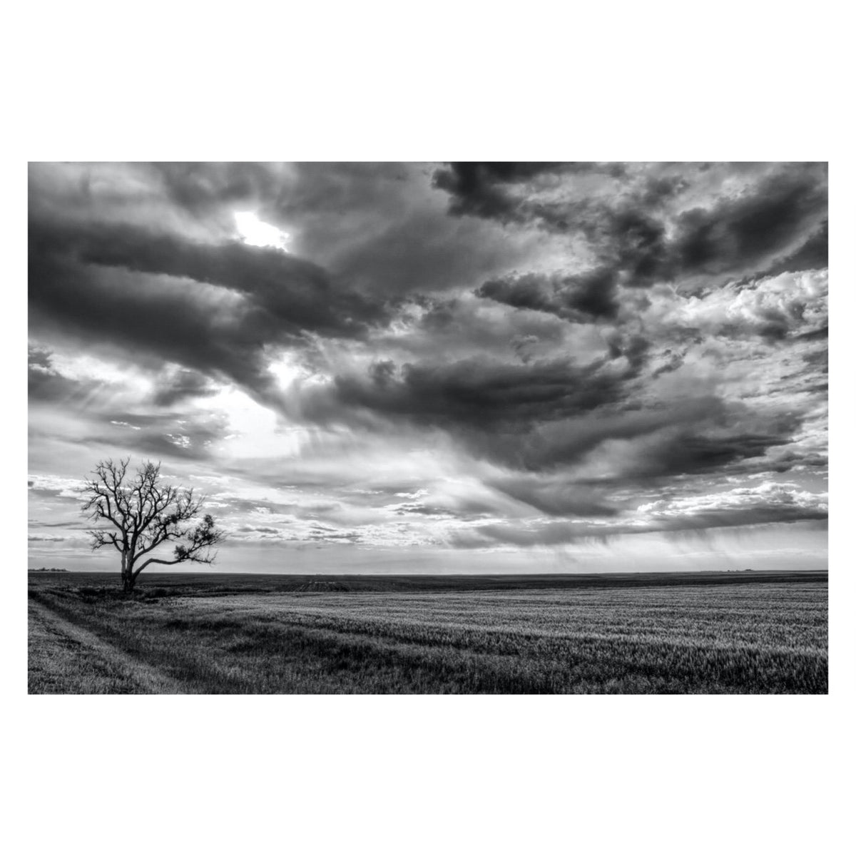 Fine Art Prints - "Somewhere In Kansas" | Nature Landscape Photography