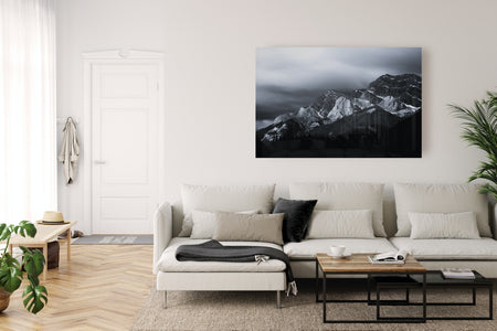 Fine Art Prints - "Stand(ing)" | Nature Photography Prints