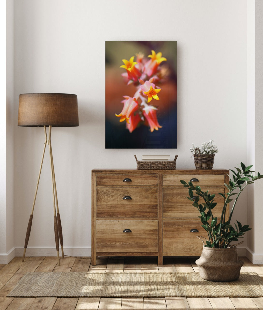 Fine Art Prints - "Succulent Bloom" | Nature Landscape Photography