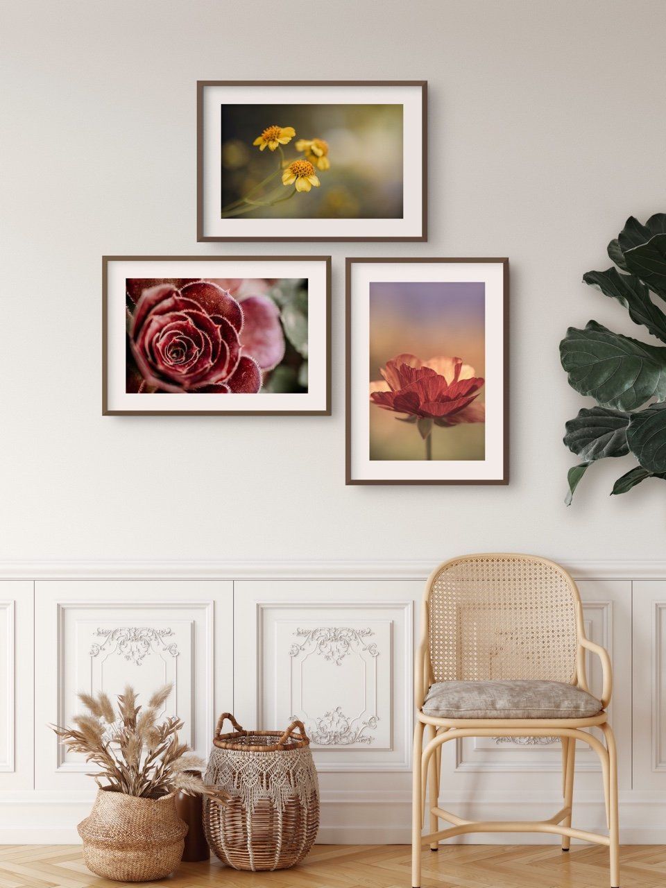 succulent wall art prints The Red Succulent" Nature Wall Art – MK Envision Galleries