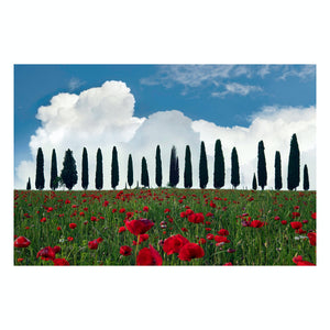 Fine Art Prints - "Tuscan Blooms" | Travel Landscape Photography