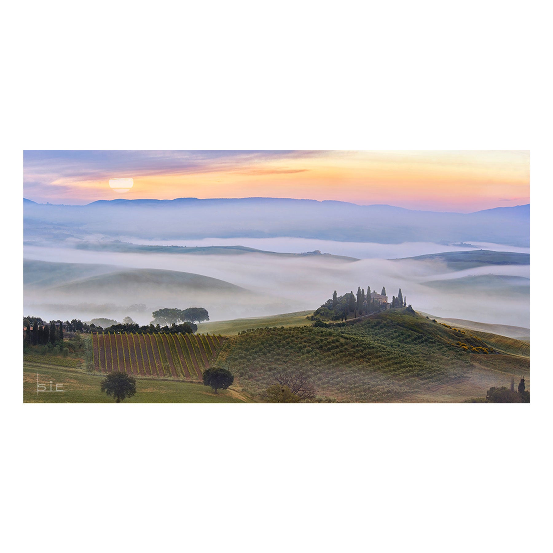 Fine Art Prints - Tuscan Life