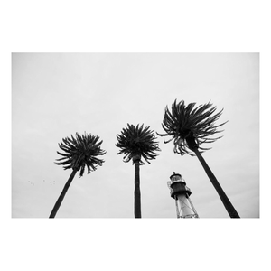 Fine Art Prints - "Windy" | Coastal Photography Prints