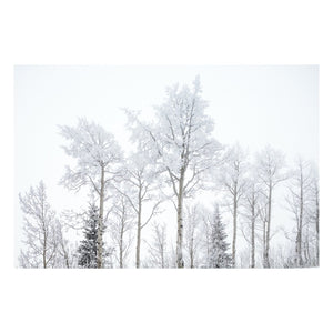 Fine Art Prints - "Winter Leaves" | Nature Landscape Photography