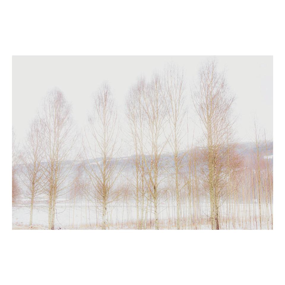 Fine Art Prints - "Winter Pastels Of Sweden" | Nature Photography Prints
