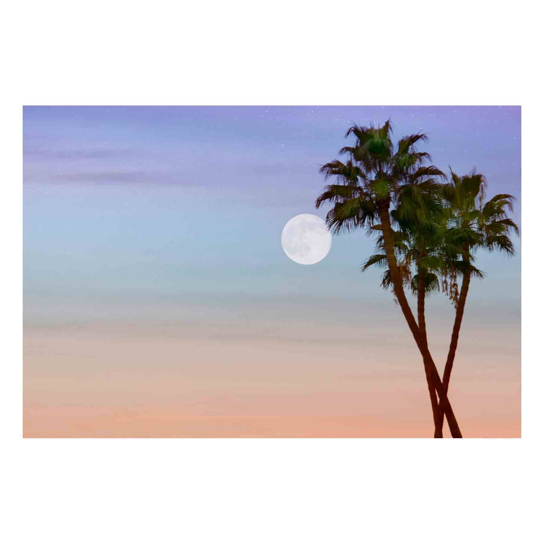 Fine Art Prints - "Wolf Moon" | Coastal Photography Prints