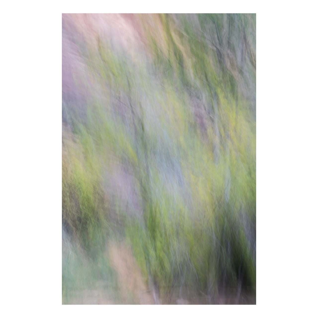 Fine Art Prints - "Zion Walls" | Abstract Landscape Photography