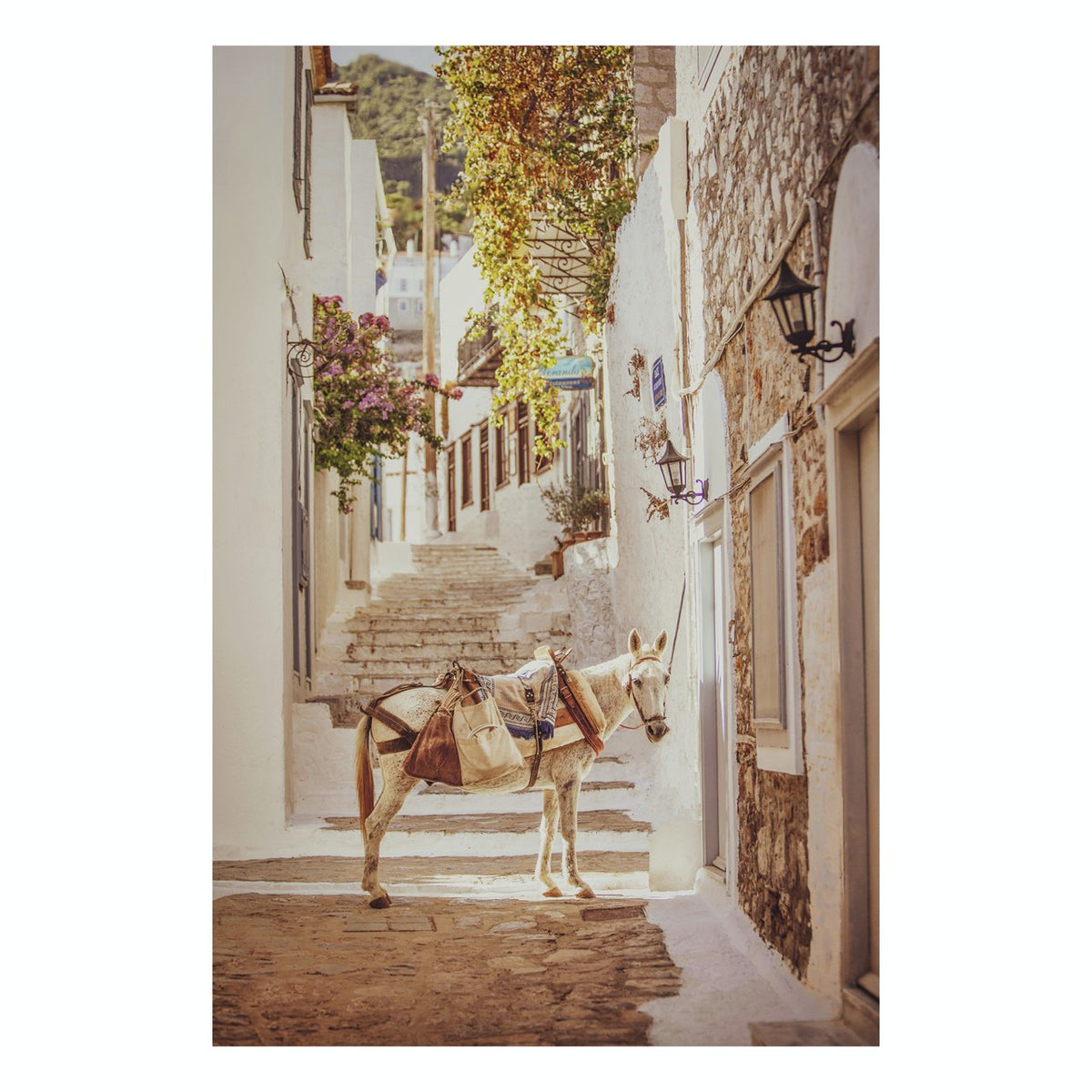 Matted Prints - "Hydra, Greece" | Matted Print