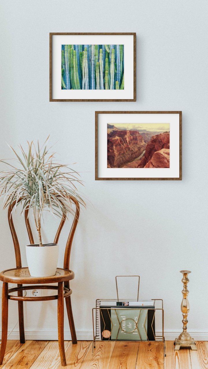 Matted Prints - "Land Before Time" | Matted Print