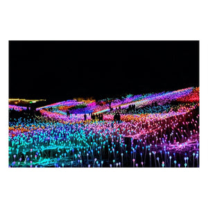 Matted Prints - "Night At The Field Of Light" | Matted Print