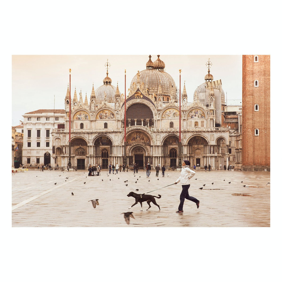 Matted Prints - "Piazza San Marco" | Matted Print